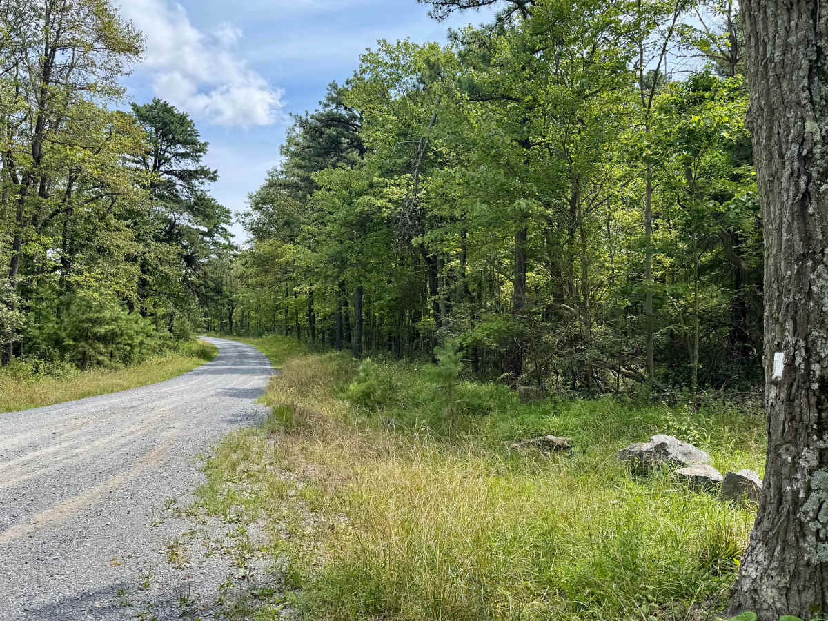 Stillhouse Hollow Road photo 4