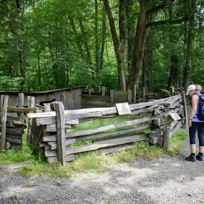 Near Oconaluftee River Trail + Mountain Farm Museum Near Oconaluftee River Trail + Mountain Farm Museum