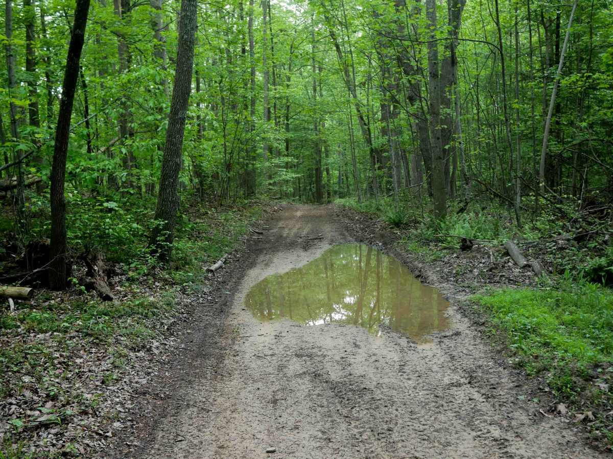 Trail 9 photo 4