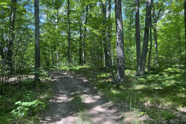Forest County ATV/ SxS 8 Mile Loop Trail 5