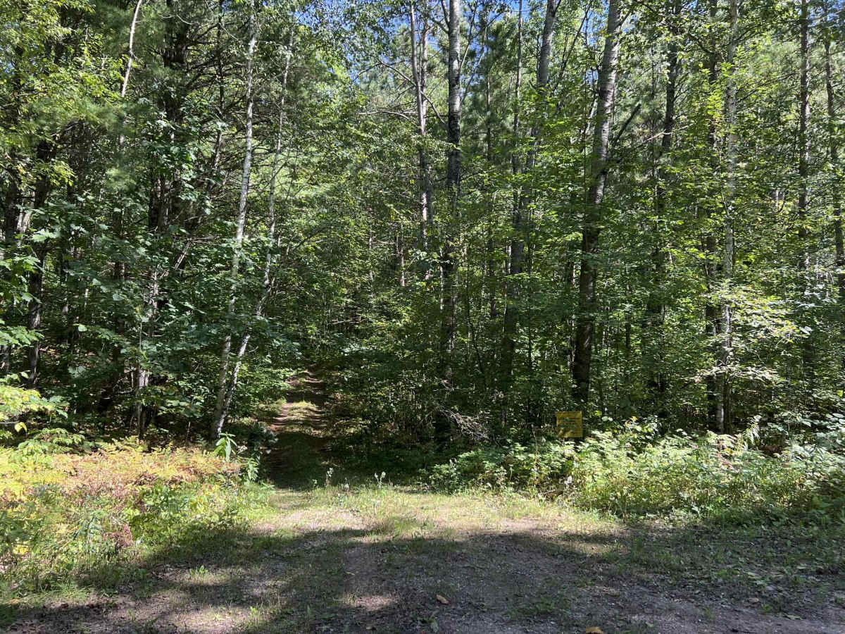 FS 2259L trail photo