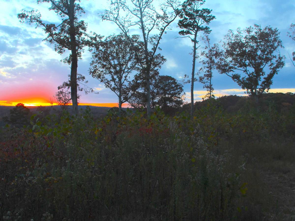Lakeview - FS 3827 trail photo