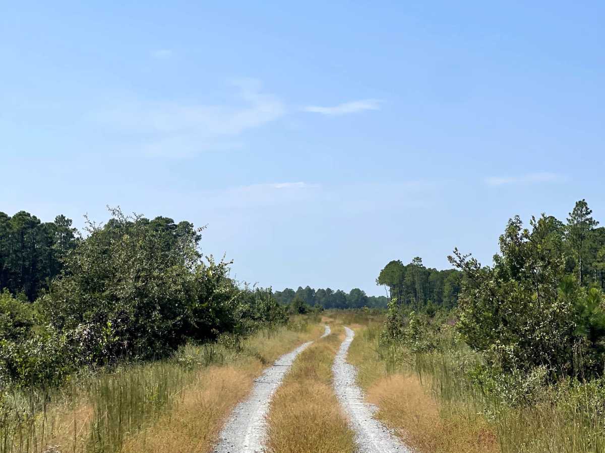 Williams Road photo 2