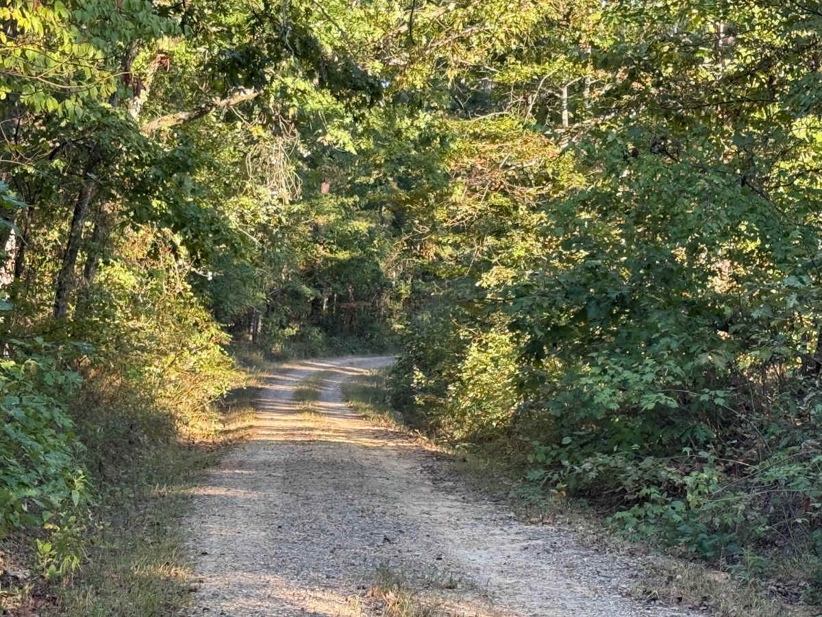 Robinson Creek photo 4