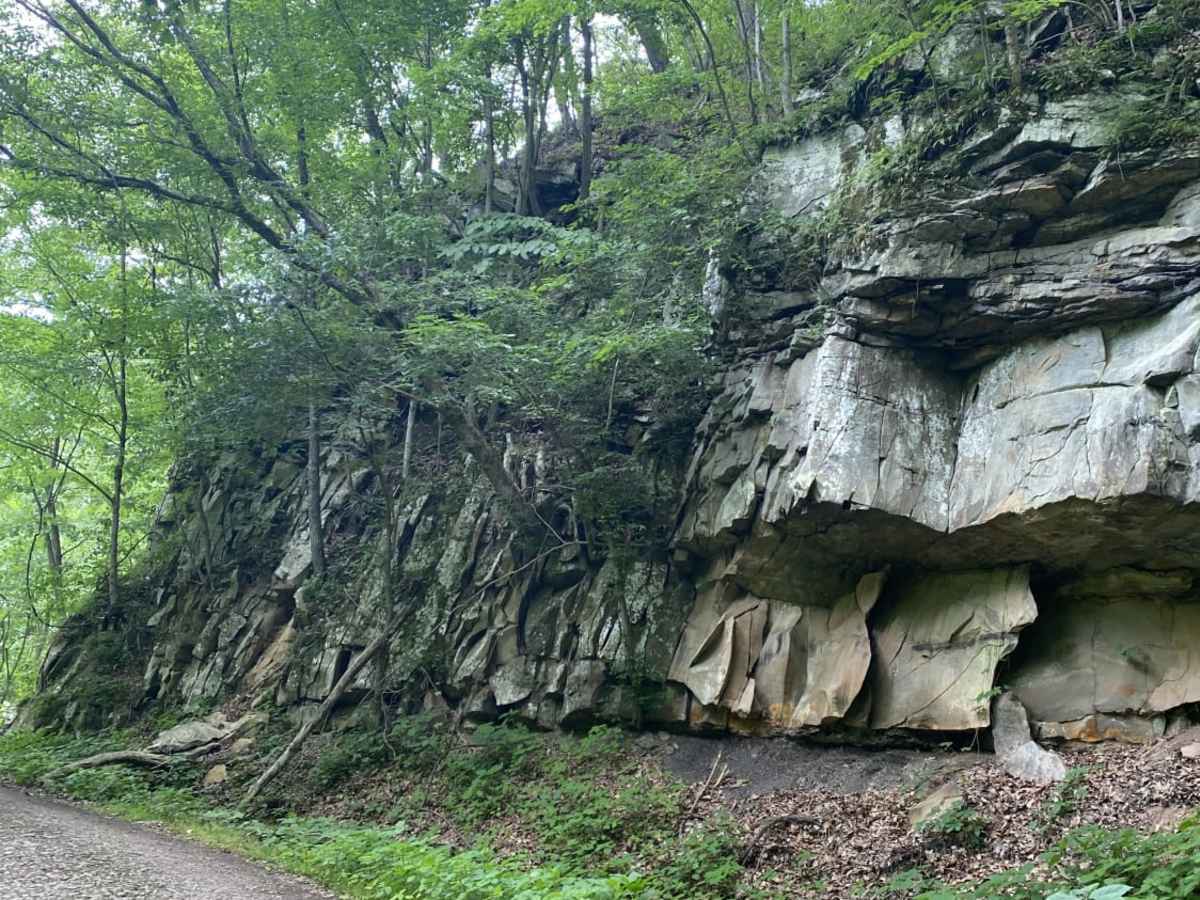 New River Gorge photo 3