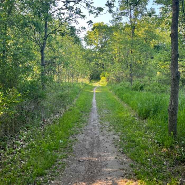 Near Red Loop