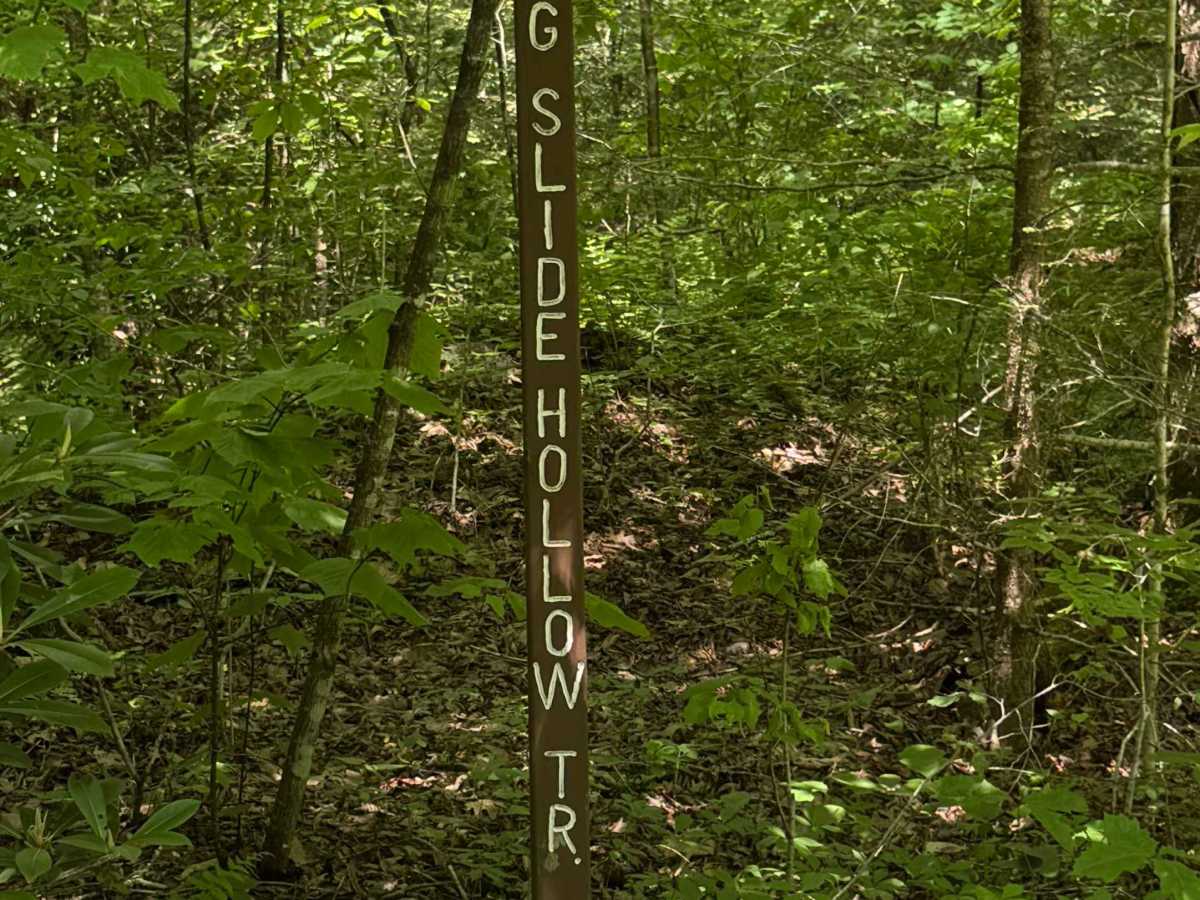 Left Branch Hyner Run Road photo 4
