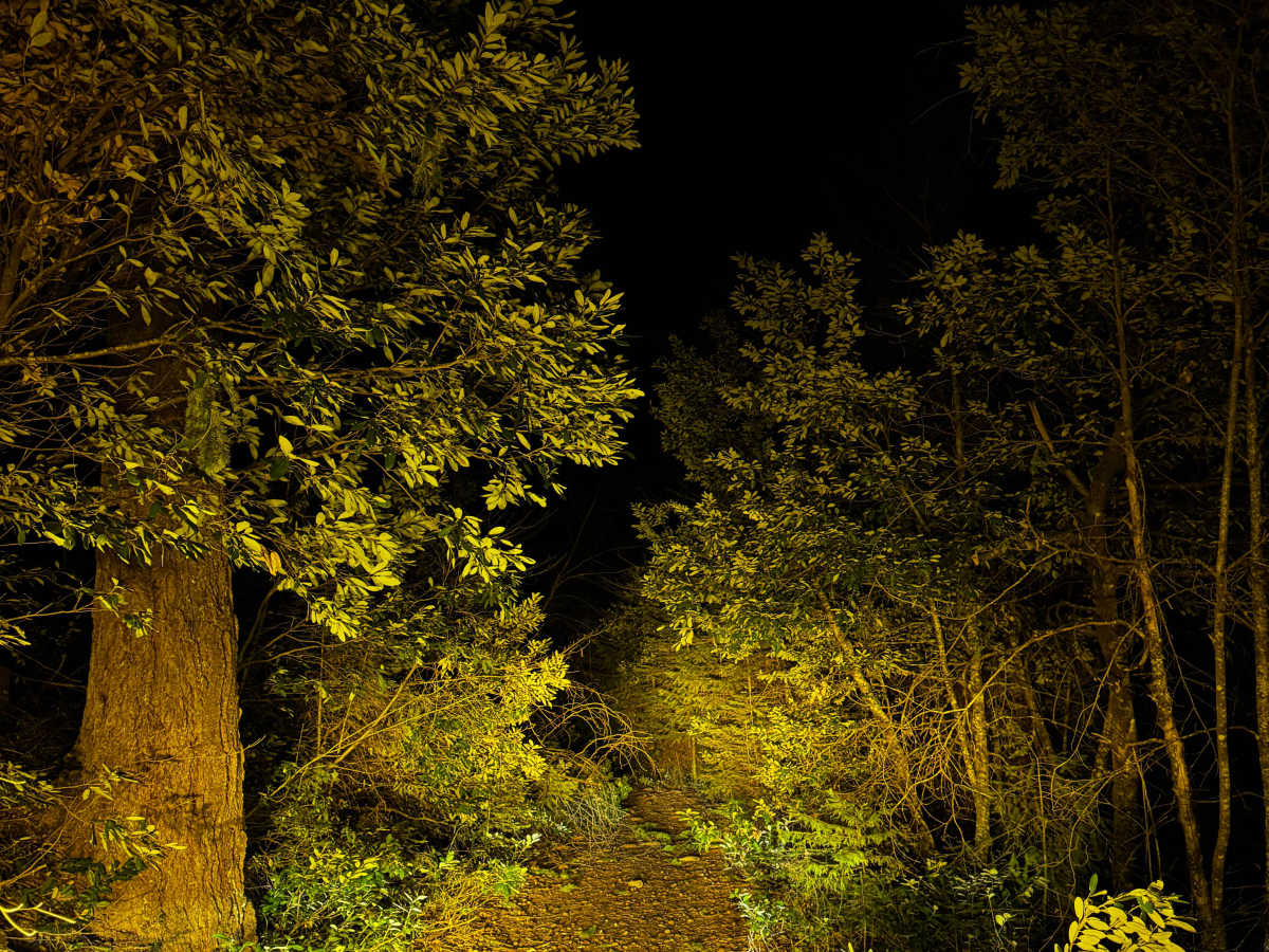 Ditch Road photo 5