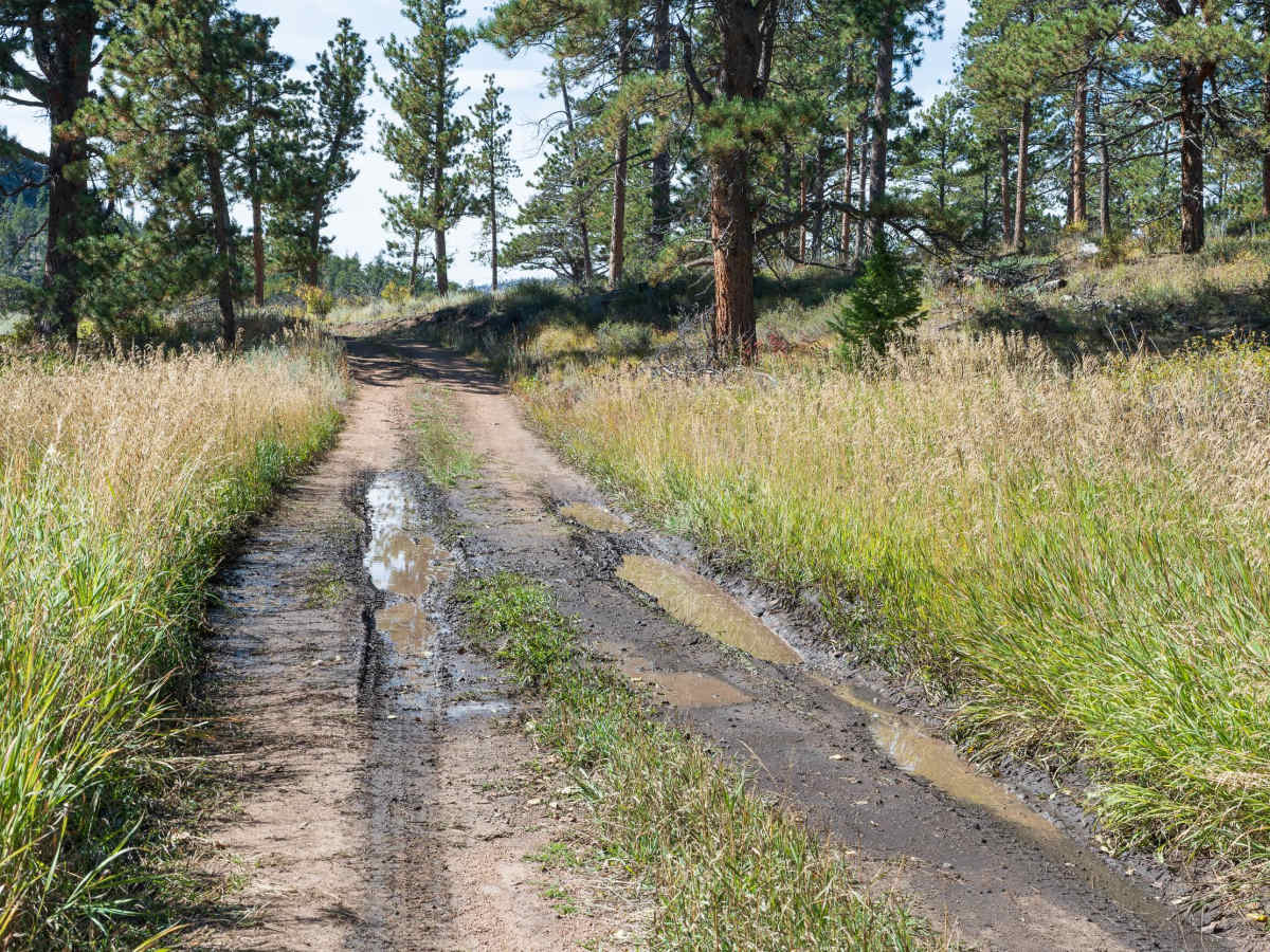 Forest Service Road 181C photo 4