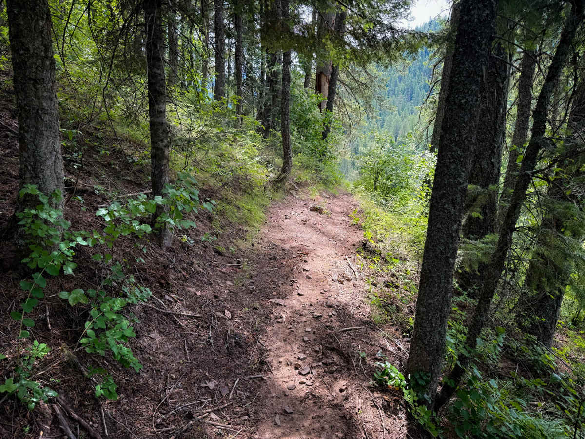 Steep Creek  photo 6