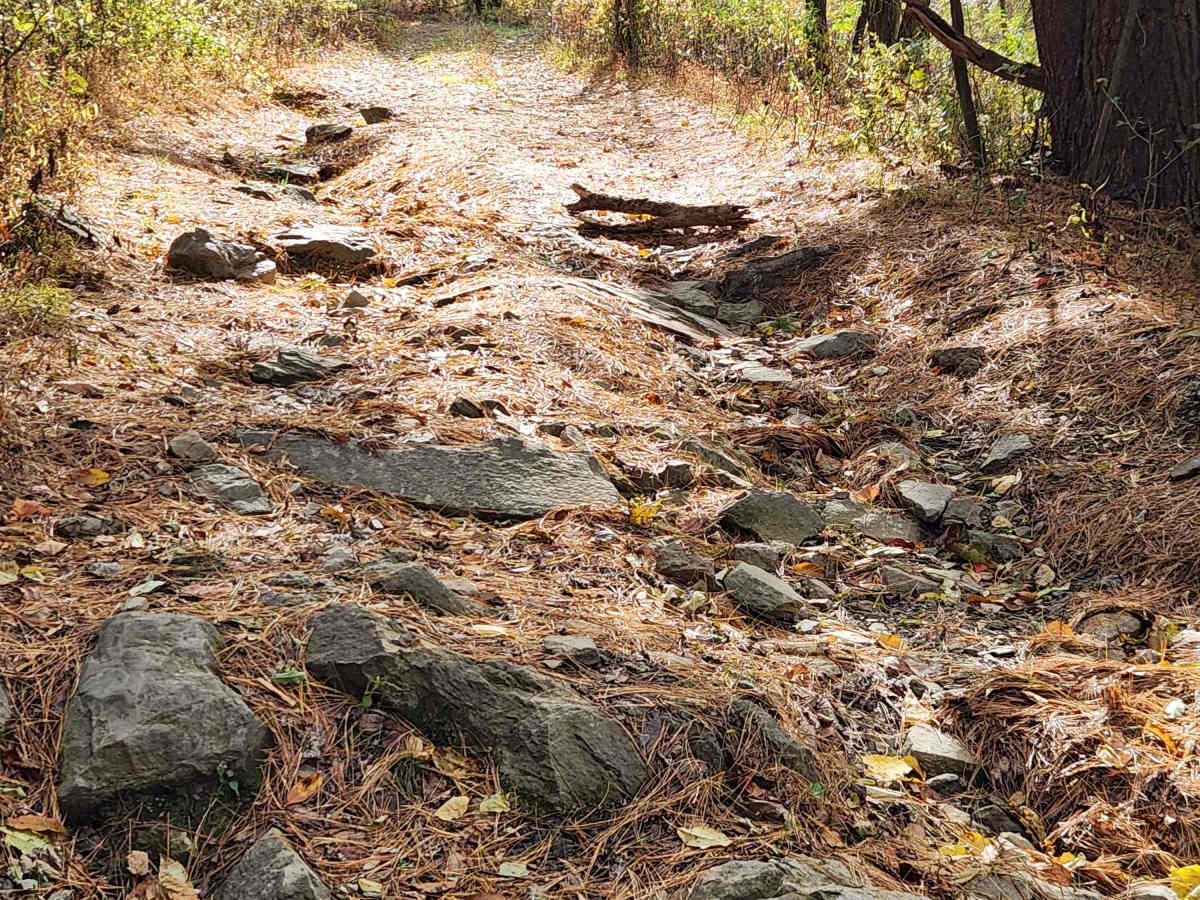 OHV 14 - Rock Run Recreation Area photo 4