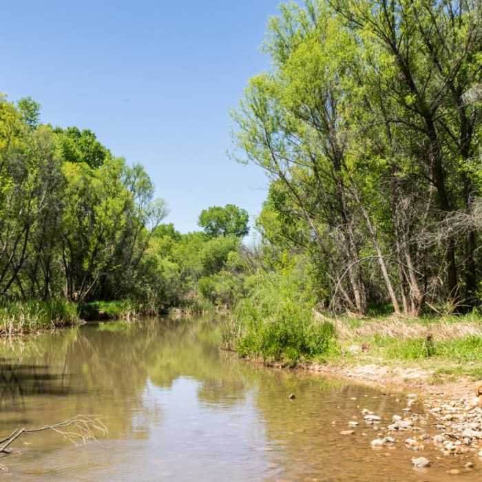 Near Verde River Greenway Trail