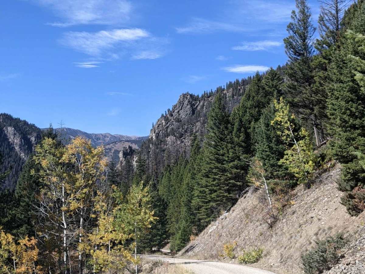 Moose Creek to Portal Creek Rd trail photo