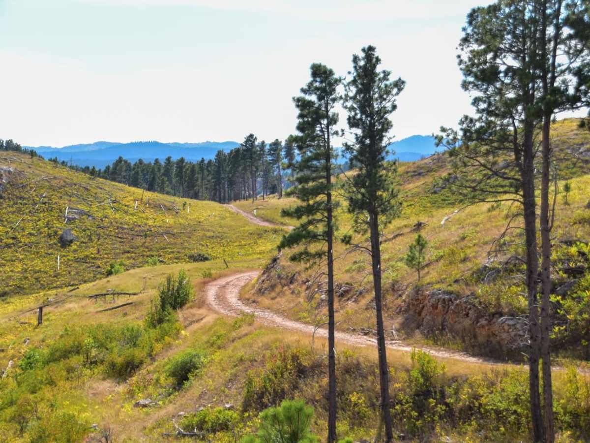 Foster's Gultch trail photo