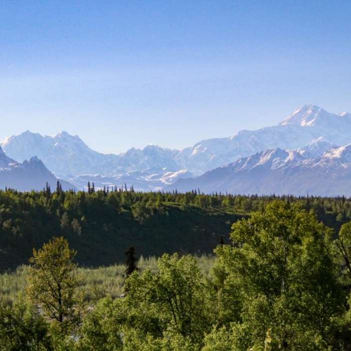 Near Denali Viewpoint South Near Denali Viewpoint South