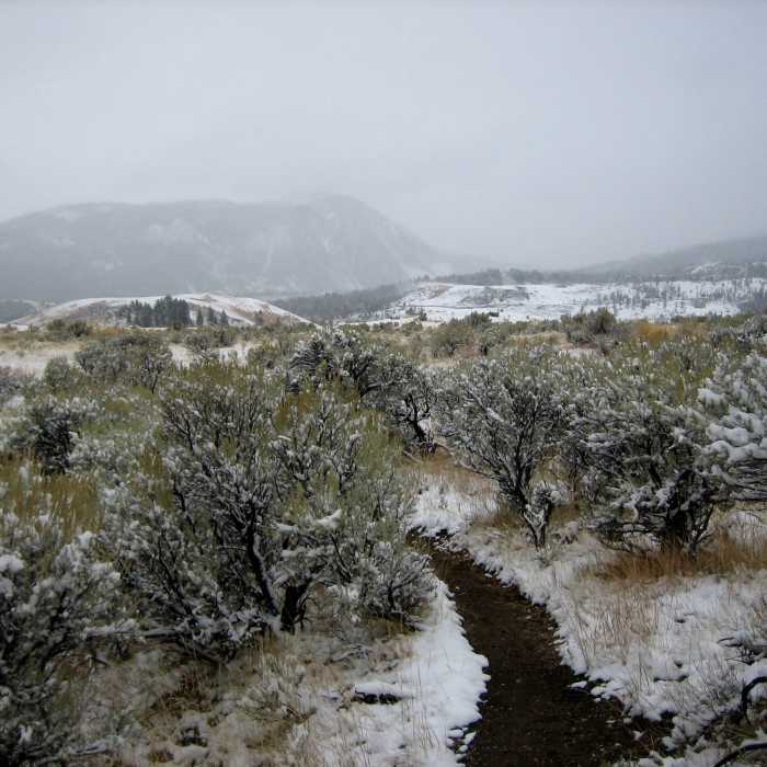 Near Old Gardiner Road Trail (Closed)