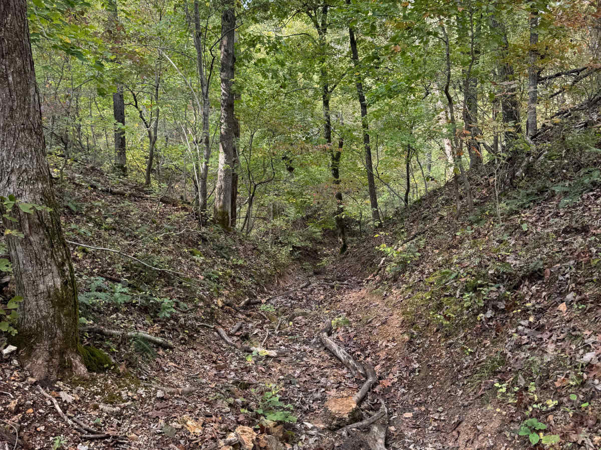 Bender Cutoff trail photo