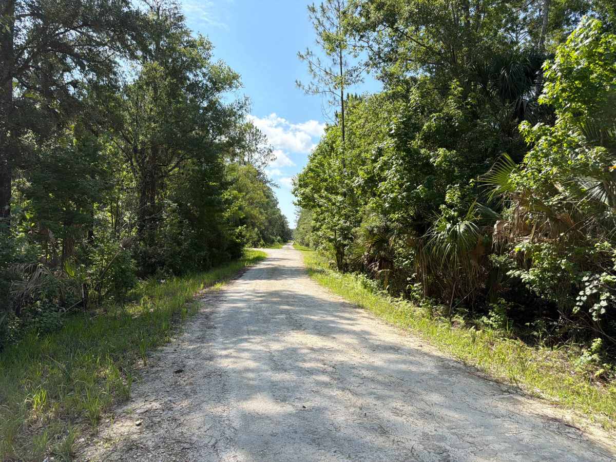 Bluffton Road photo 3