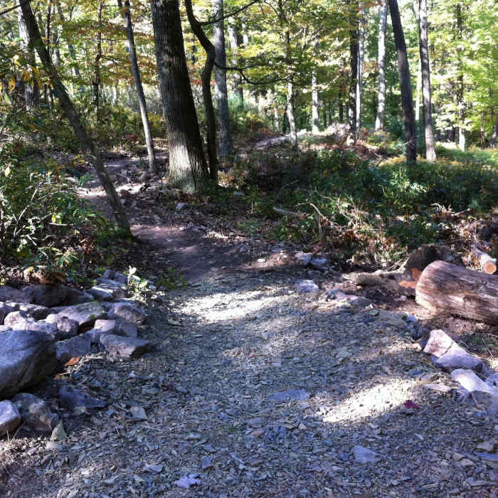 New entry (reroute) for lower Lonberger Path. Near Spruce Gap
