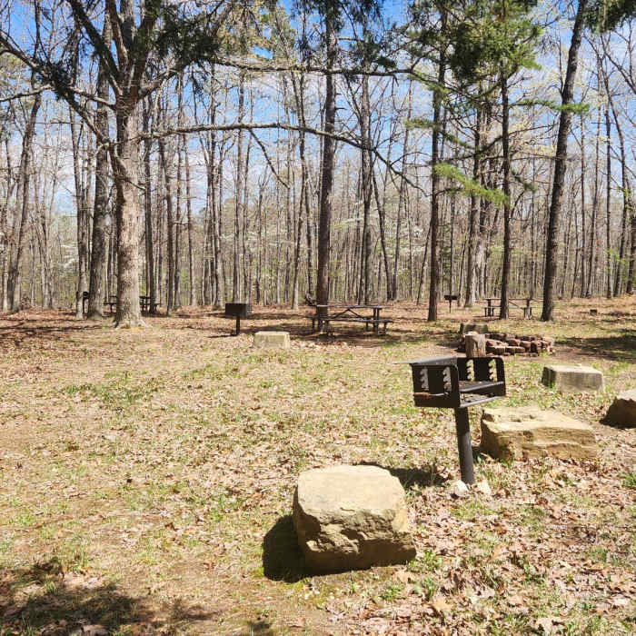 Near Brushy Creek Trail