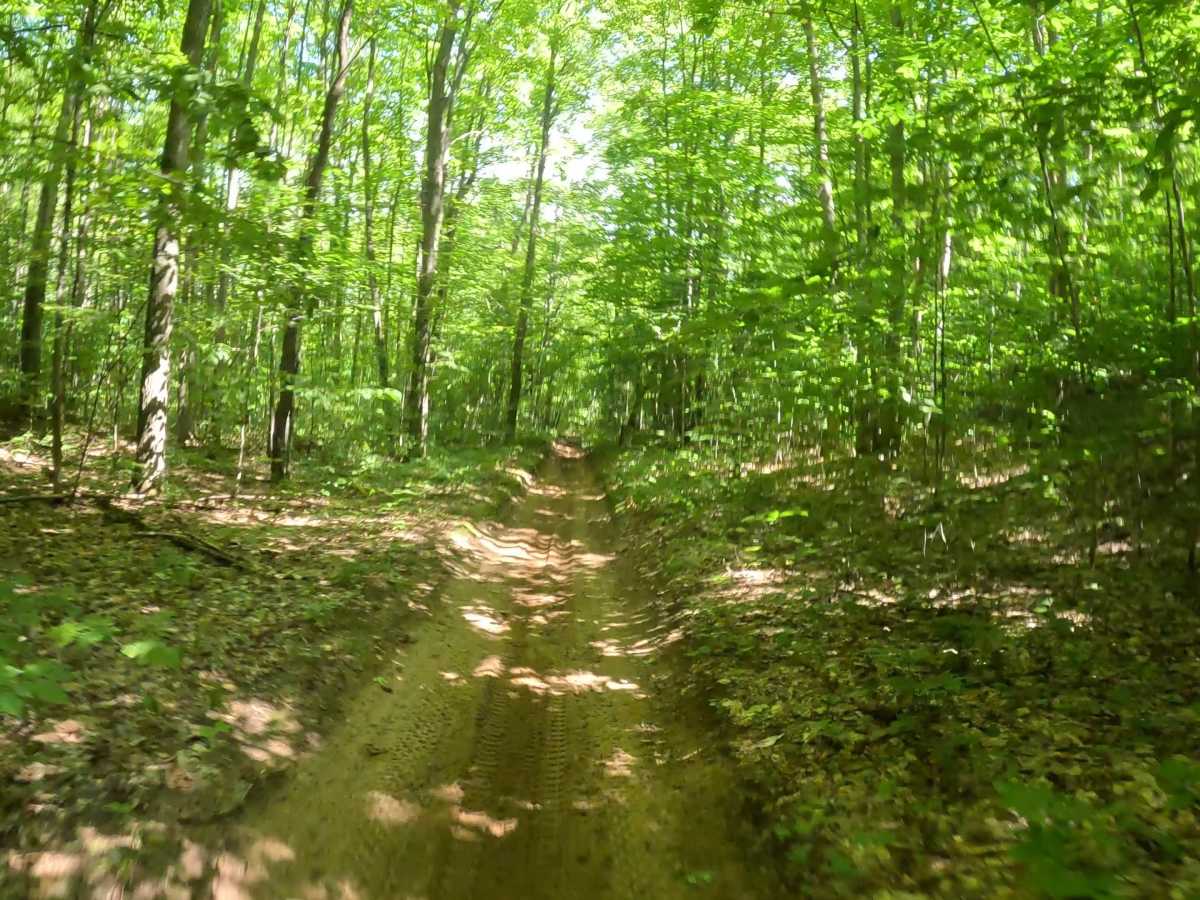 Kalkaska Trial Interconnector photo 3