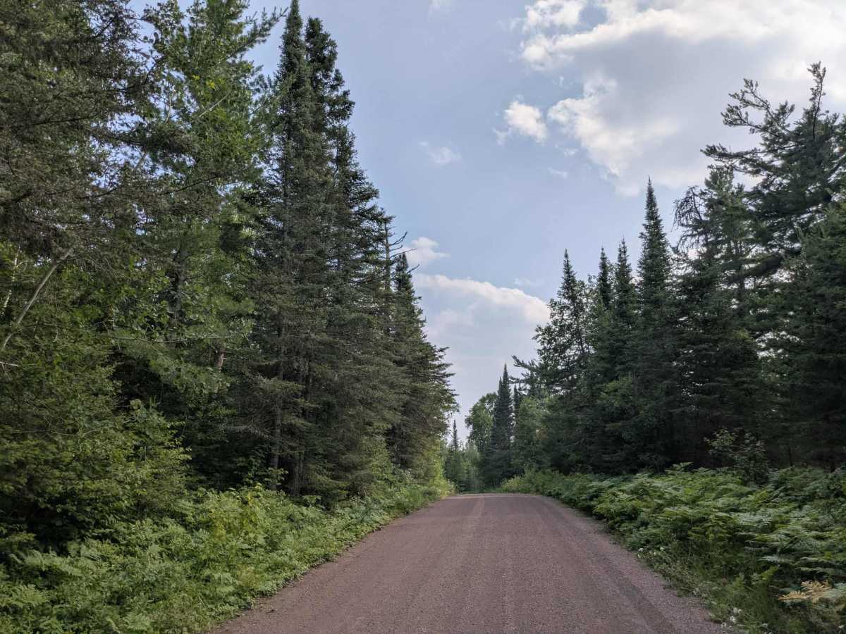 Cascade River Road photo 3