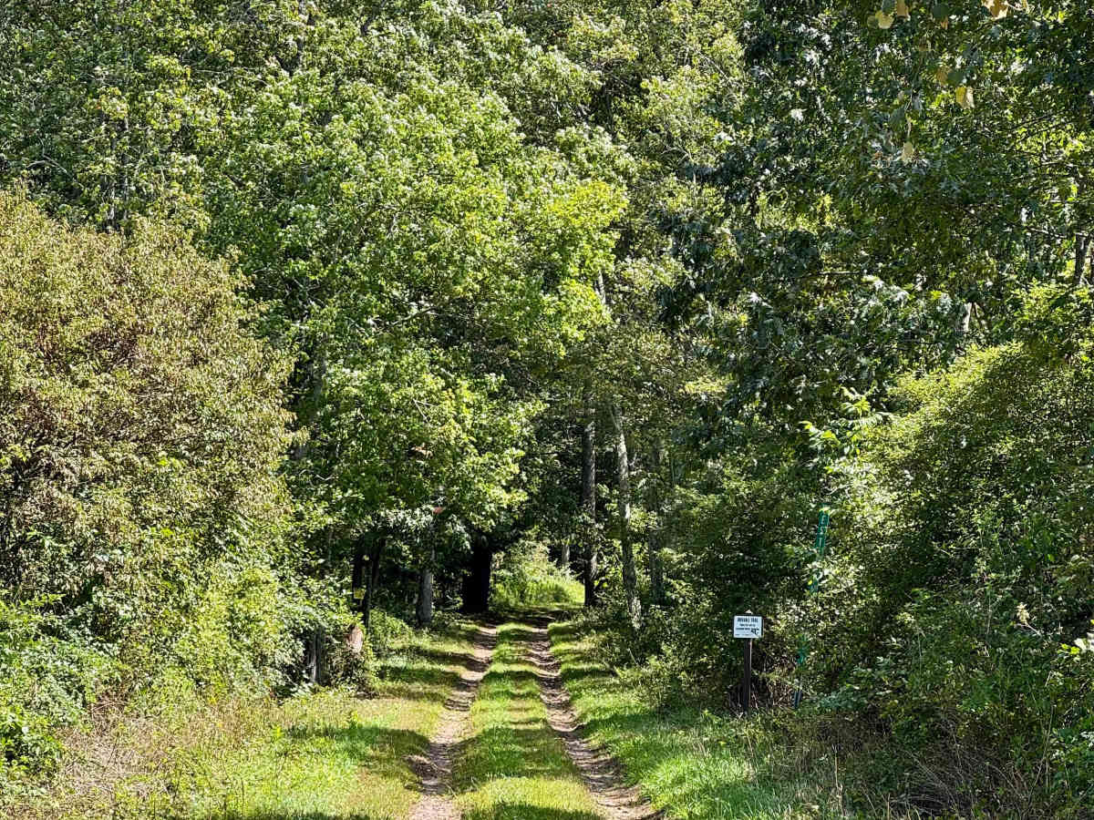 West Pittman Road photo 3