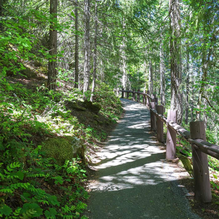 Near Cliff Nature Trail Near Cliff Nature Trail