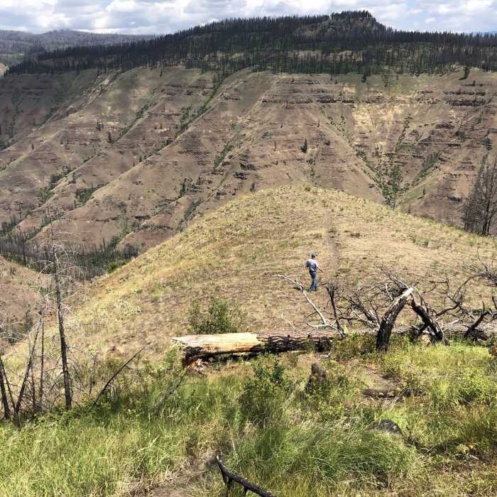 View north below trailhead Near Hoodoo Trail # 3244