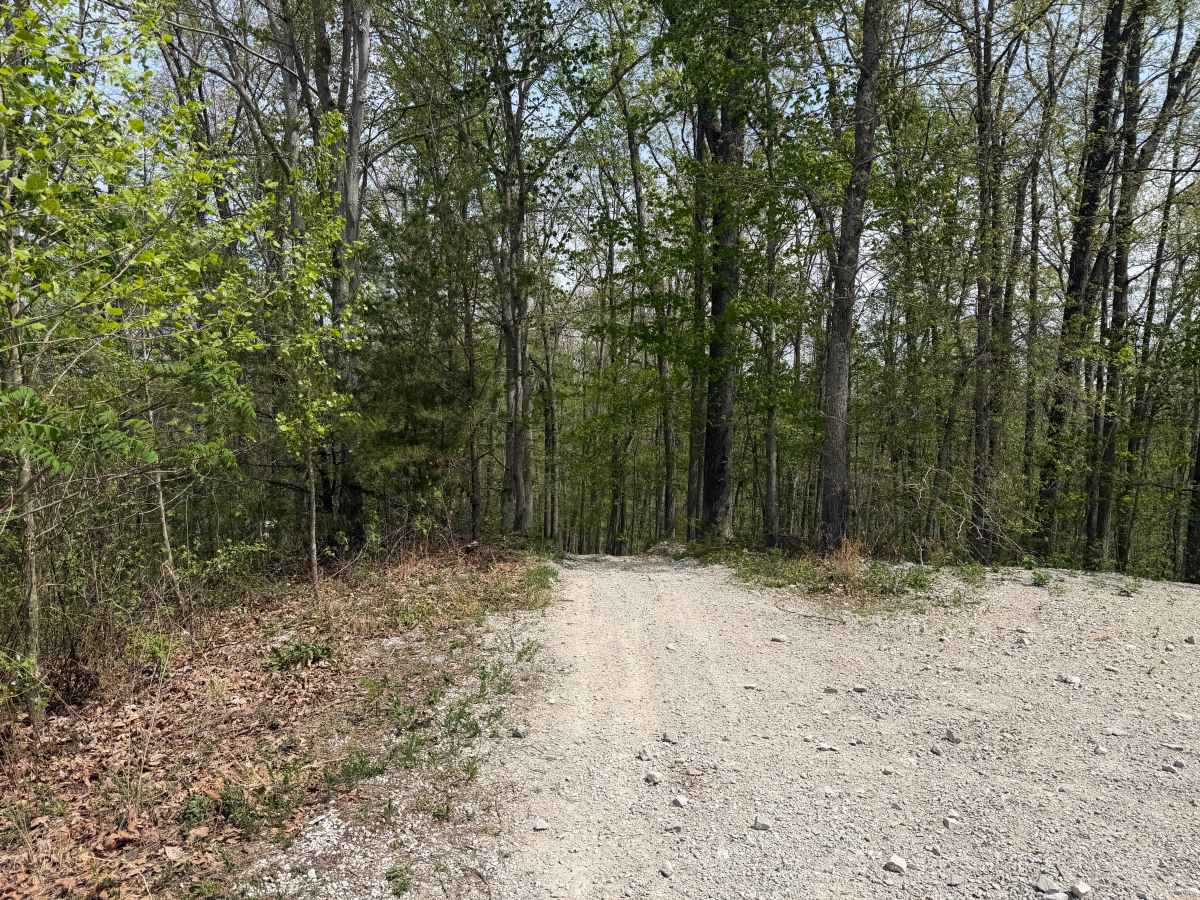 Powerline Trail photo 4