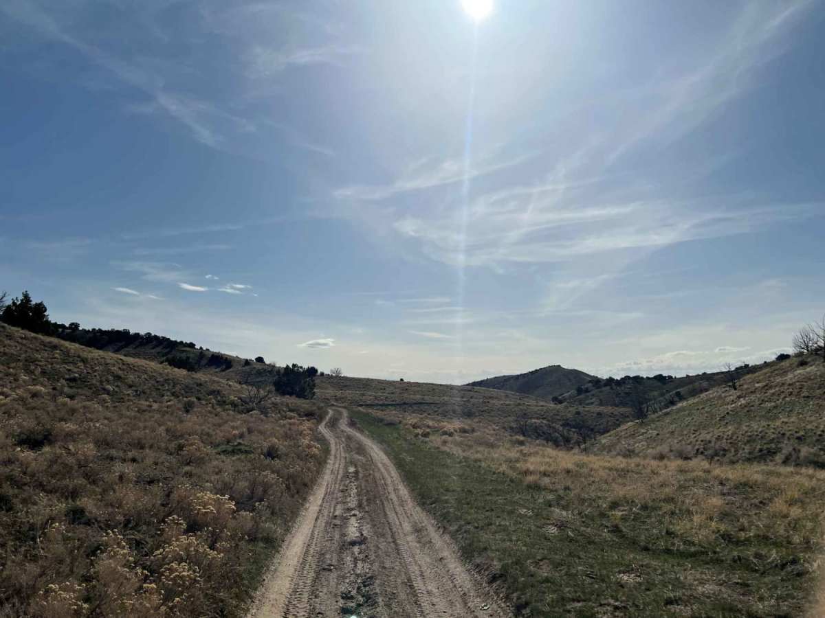 Cedar Pass photo 4