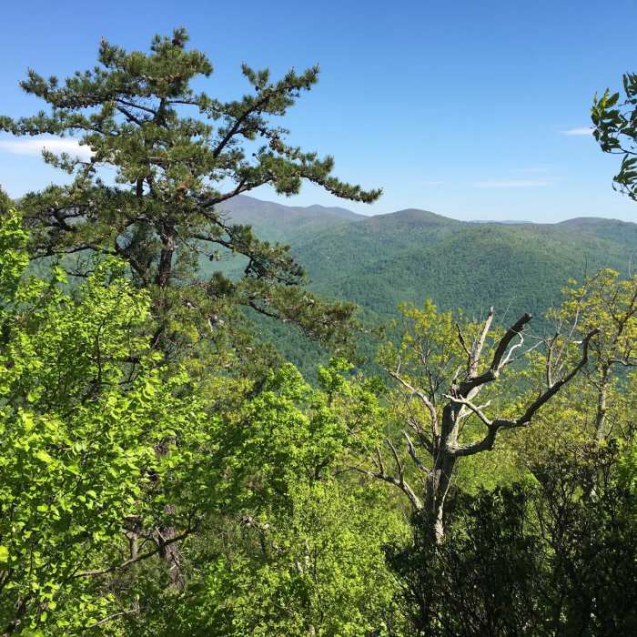 Near Old Rag Loop