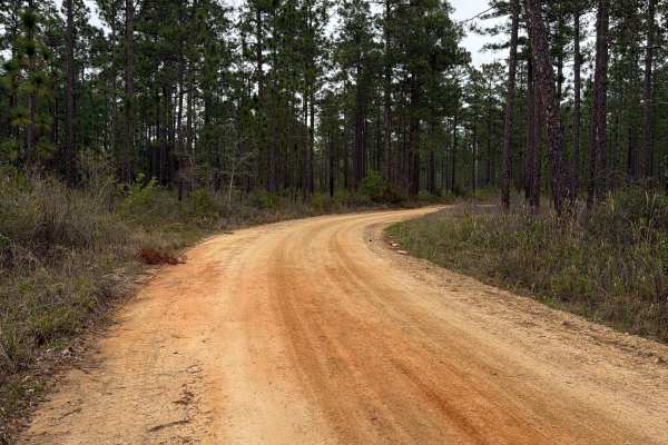 McDaniel Road