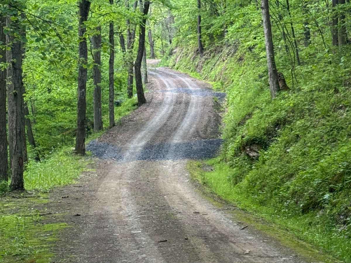 Greens Run Road photo 3