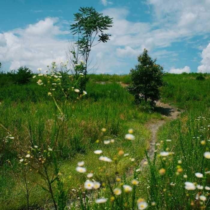 Near Crooked Stick Trail