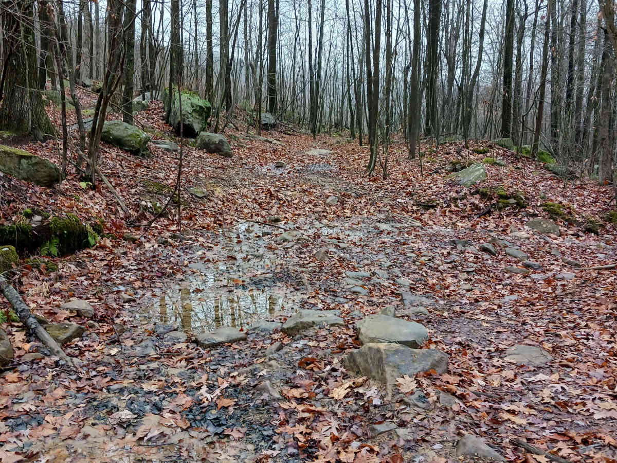 OHV 26 - Rock Run Recreation Area photo 6