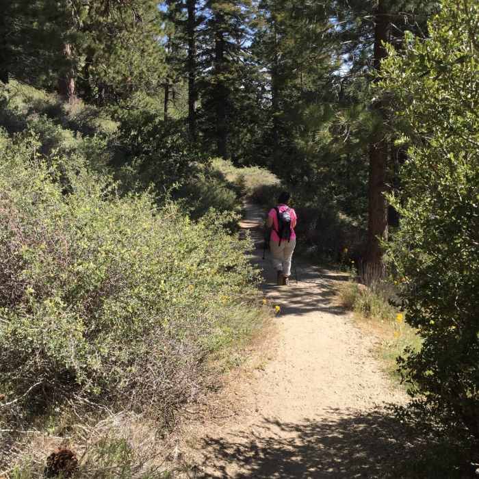 Near Burkhart Trail #10W02