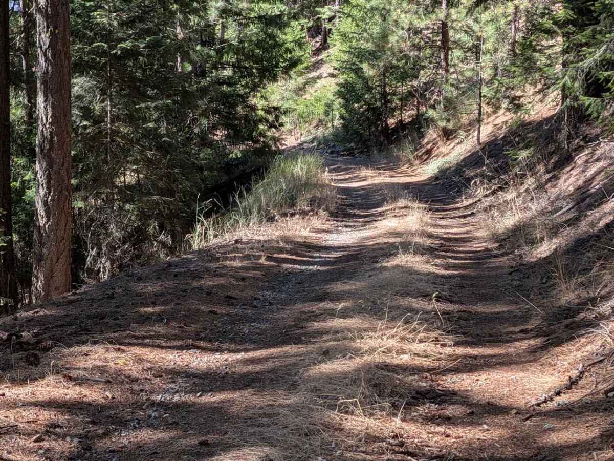 Wilson Point Road - FS 30N21  photo 3
