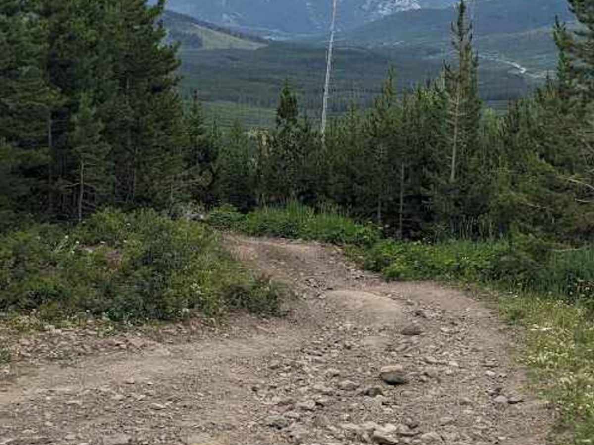 Lyons Creek Loop - Trail 105/102 photo 4