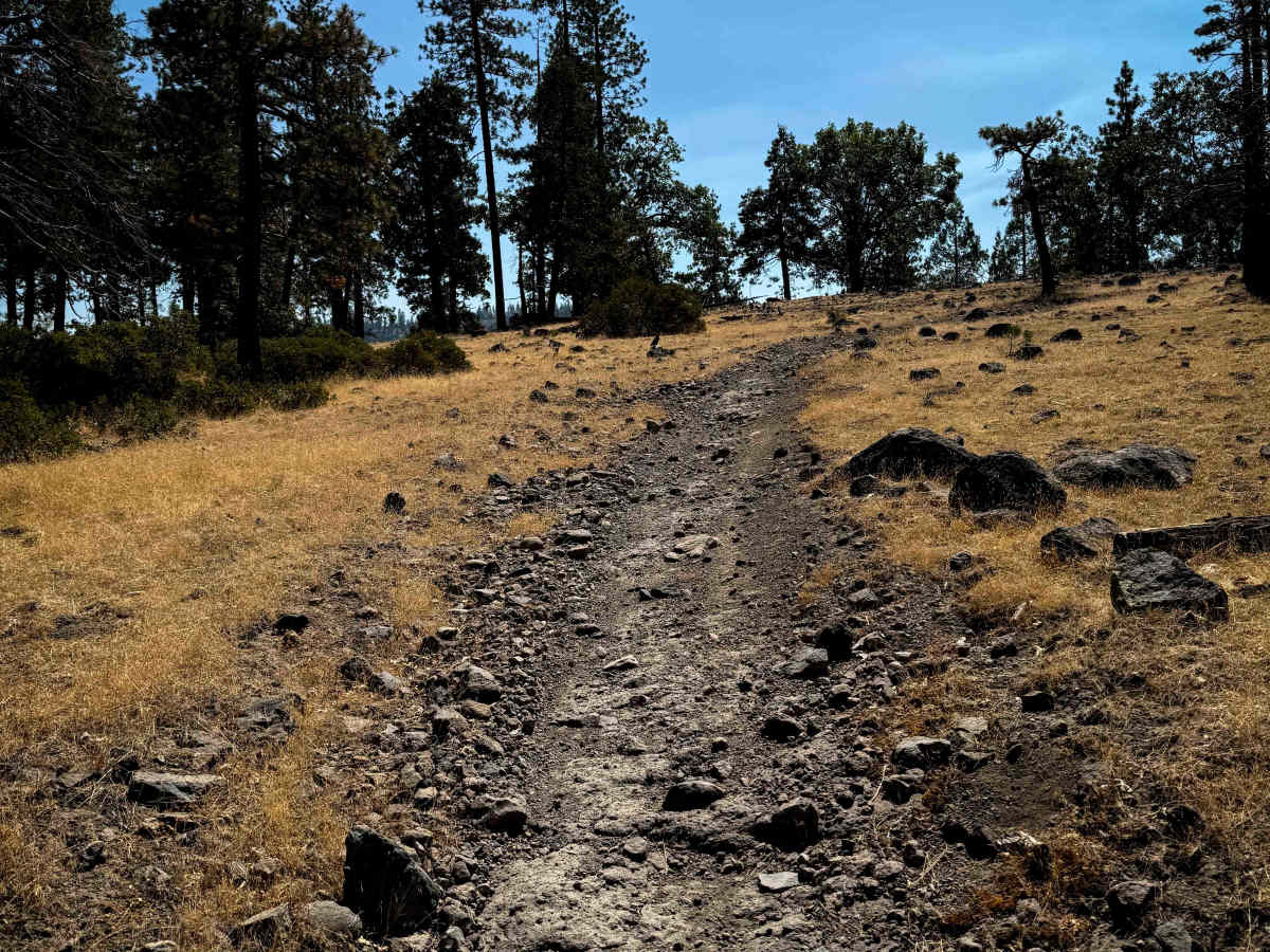 16EV236  trail photo