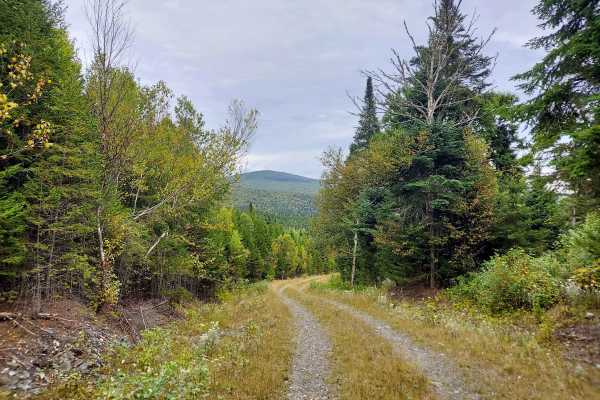 Graham Brook Trail
