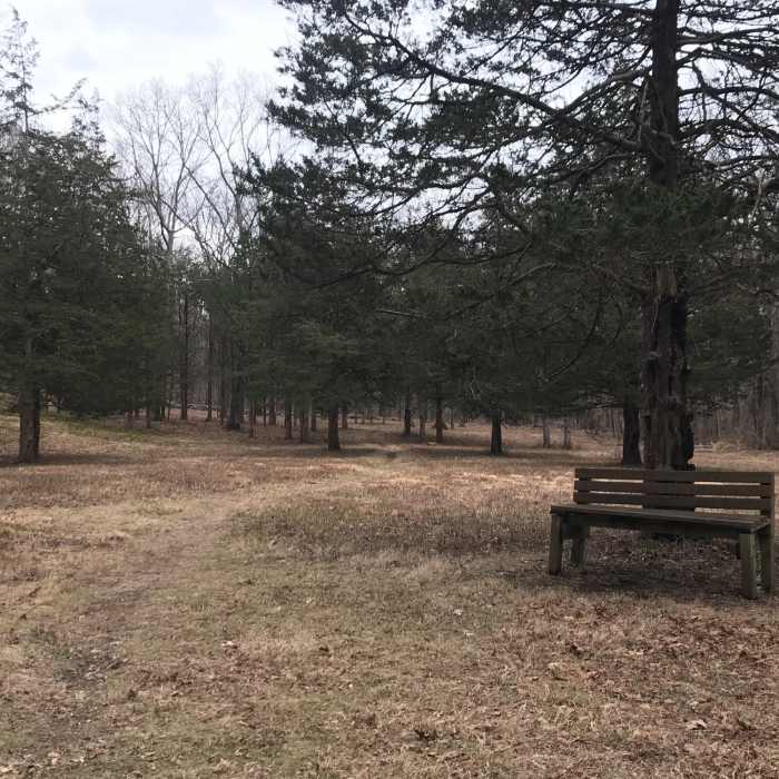 Near Naugatuck (Blue) Trail
