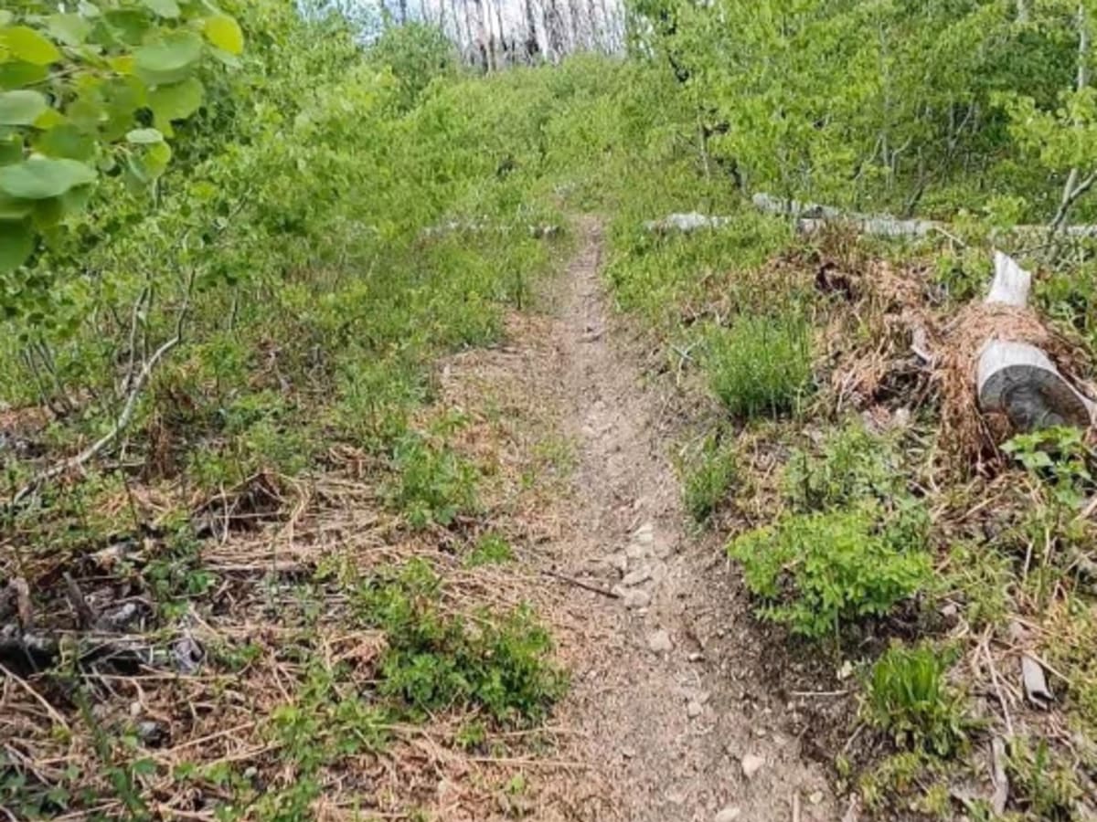 Green Creek Trail photo 4