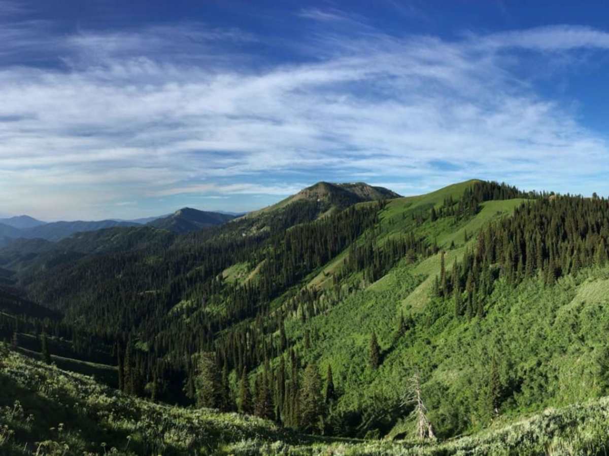 Fleming Canyon photo 2
