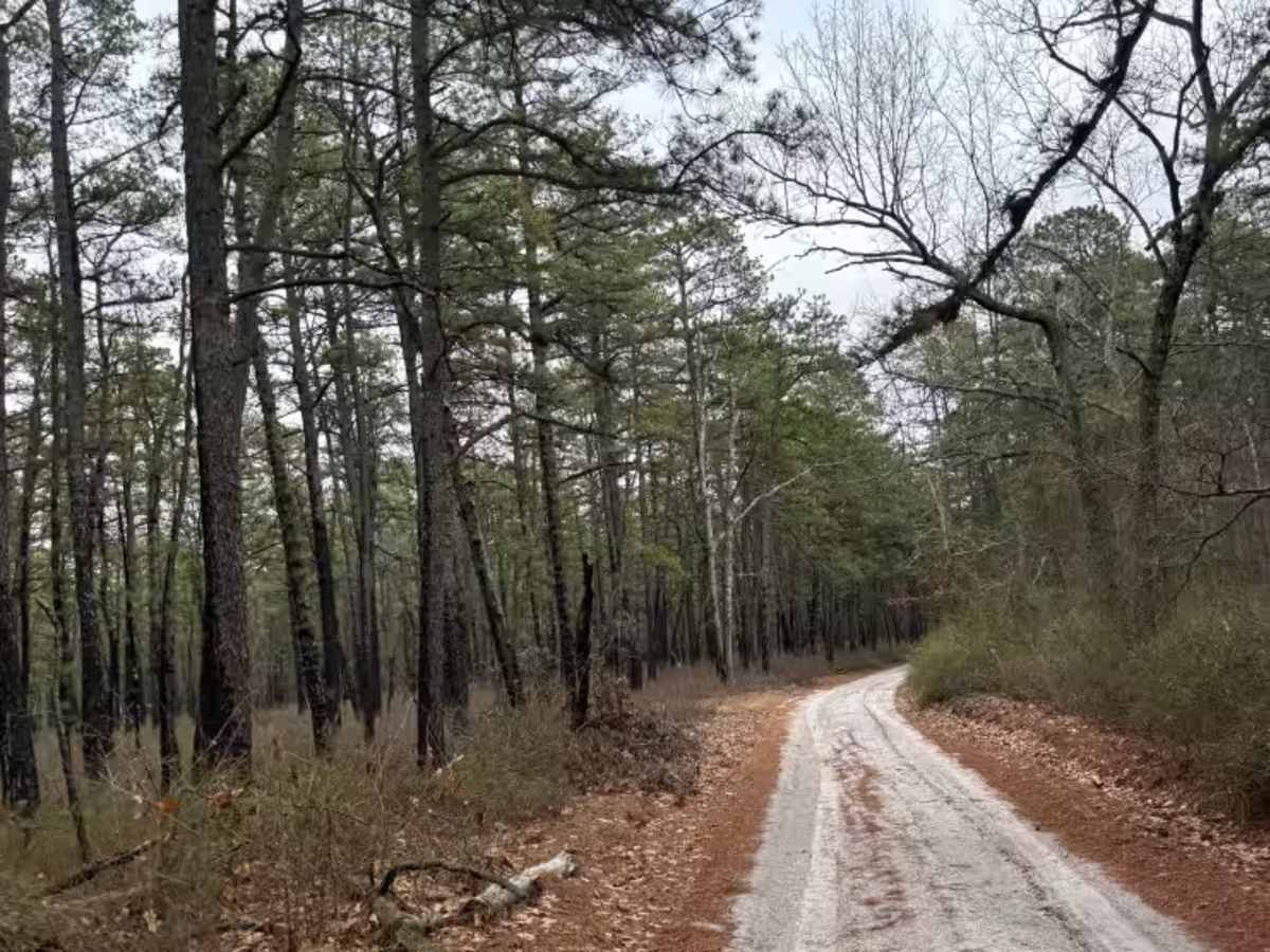 Dutch town to Burnt mill road  photo 6