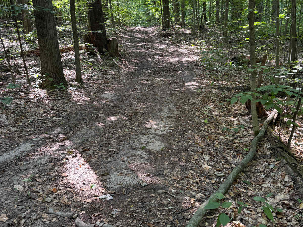 FS 7121 trail photo