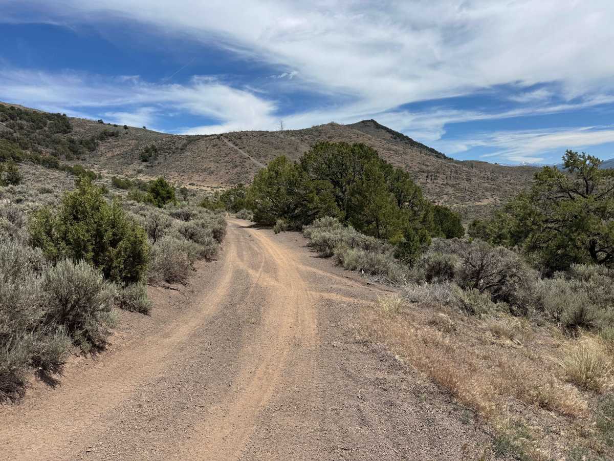 BLM 8466 photo 2