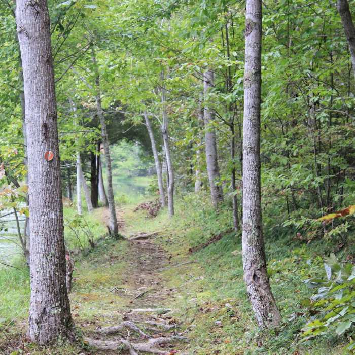 Alongside the lake. Near South Loop