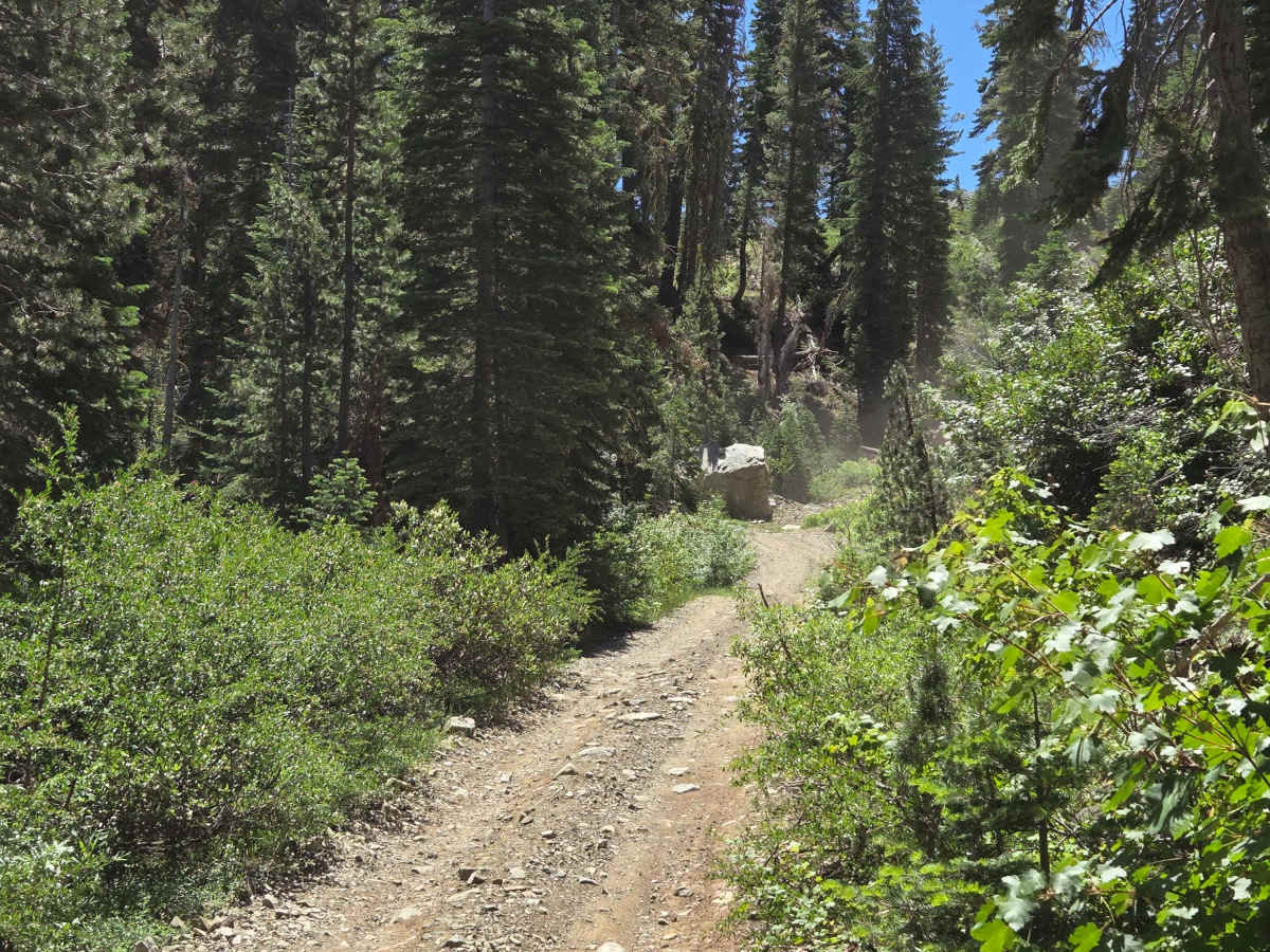 Perazzo Meadows photo 4