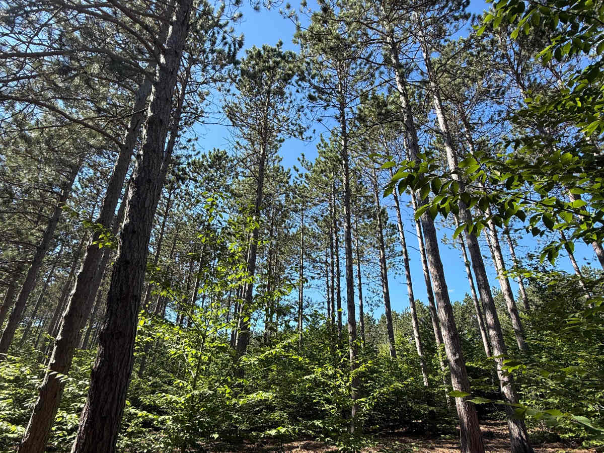 Alkire Trail photo 6
